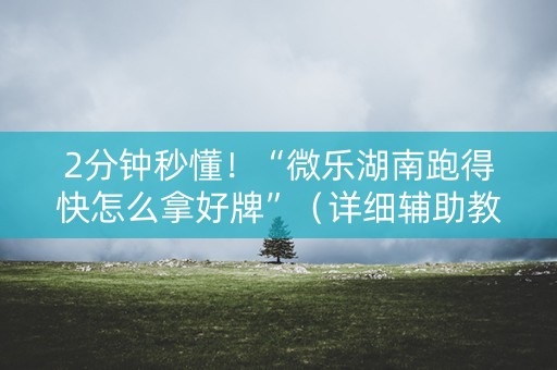 2分钟秒懂！“微乐湖南跑得快怎么拿好牌”（详细辅助教程）-哔哩哔哩
