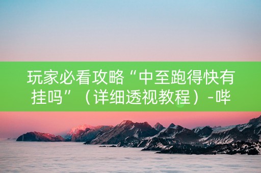 玩家必看攻略“中至跑得快有挂吗”（详细透视教程）-哔哩哔哩