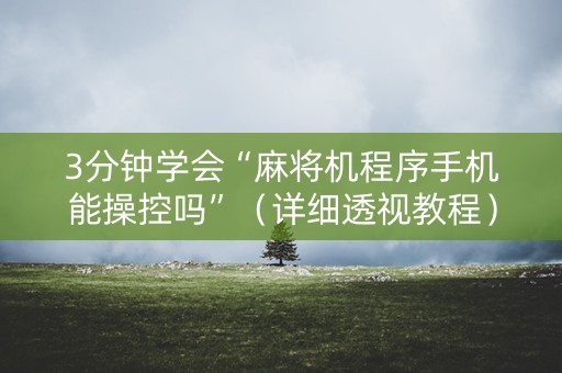 3分钟学会“麻将机程序手机能操控吗”（详细透视教程）-哔哩哔哩