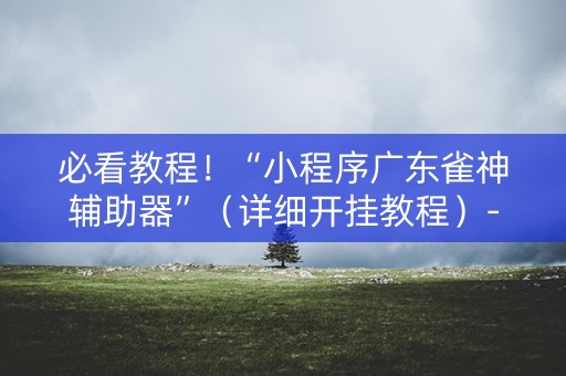 必看教程！“小程序广东雀神辅助器”（详细开挂教程）-哔哩哔哩