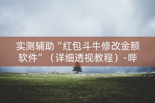 实测辅助“红包斗牛修改金额软件”（详细透视教程）-哔哩哔哩
