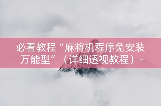 必看教程“麻将机程序免安装 万能型”（详细透视教程）-哔哩哔哩
