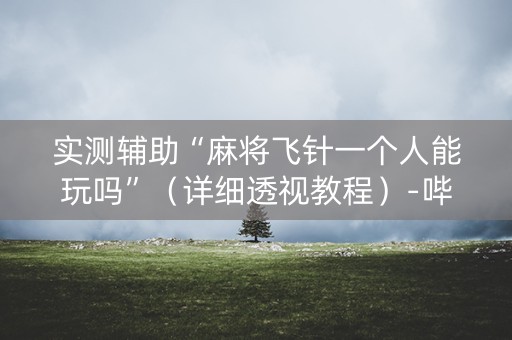 实测辅助“麻将飞针一个人能玩吗”（详细透视教程）-哔哩哔哩
