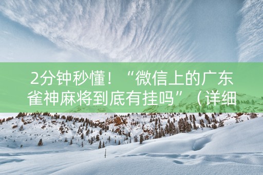 2分钟秒懂！“微信上的广东雀神麻将到底有挂吗”（详细开挂教程）-哔哩哔哩
