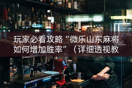玩家必看攻略“微乐山东麻将如何增加胜率”（详细透视教程）-哔哩哔哩