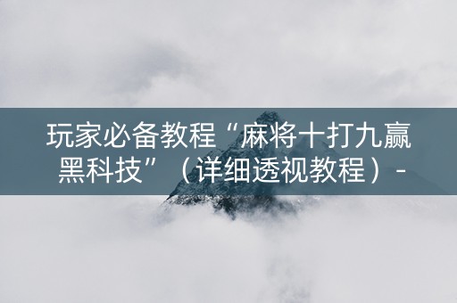 玩家必备教程“麻将十打九赢 黑科技”（详细透视教程）-哔哩哔哩