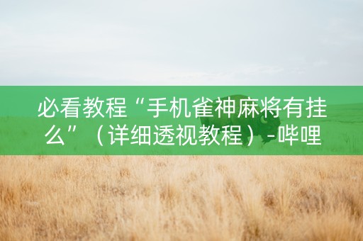 必看教程“手机雀神麻将有挂么”（详细透视教程）-哔哩哔哩