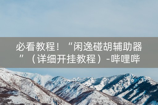 必看教程！“闲逸碰胡辅助器”（详细开挂教程）-哔哩哔哩