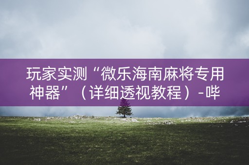 玩家实测“微乐海南麻将专用神器”（详细透视教程）-哔哩哔哩