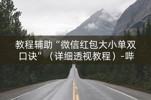 教程辅助“微信红包大小单双口诀”（详细透视教程）-哔哩哔哩