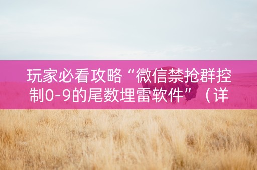 玩家必看攻略“微信禁抢群控制0-9的尾数埋雷软件”（详细透视教程）-哔哩哔哩