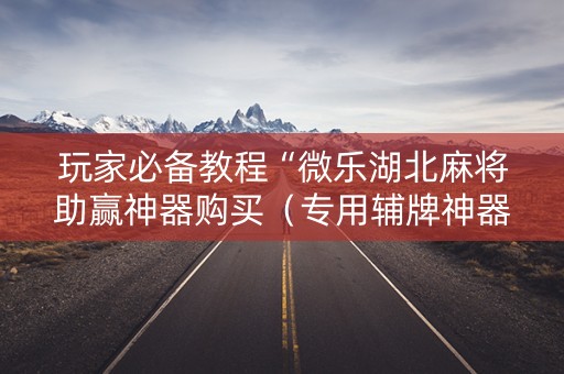 玩家必备教程“微乐湖北麻将助赢神器购买（专用辅牌神器免安装）