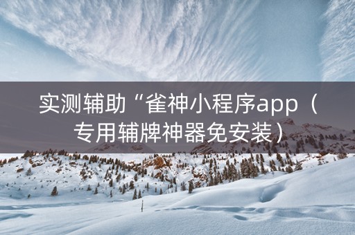 实测辅助“雀神小程序app（专用辅牌神器免安装）