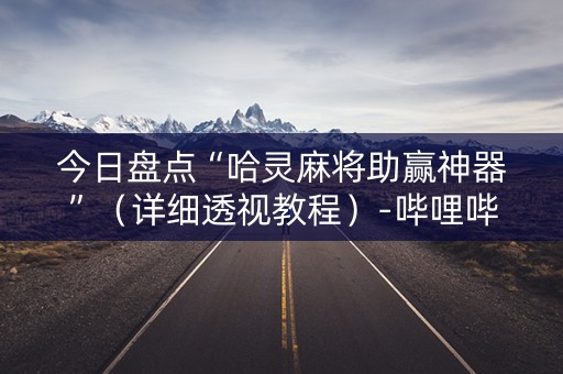 今日盘点“哈灵麻将助赢神器”（详细透视教程）-哔哩哔哩