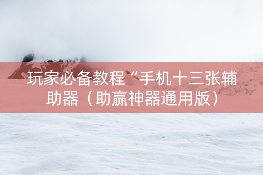 玩家必备教程“手机十三张辅助器（助赢神器通用版）