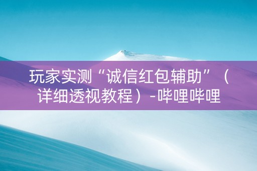 玩家实测“诚信红包辅助”（详细透视教程）-哔哩哔哩