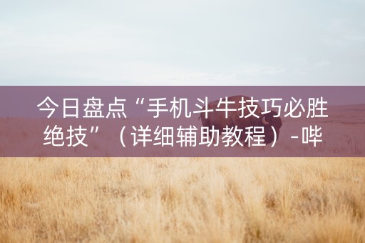 今日盘点“手机斗牛技巧必胜绝技”（详细辅助教程）-哔哩哔哩