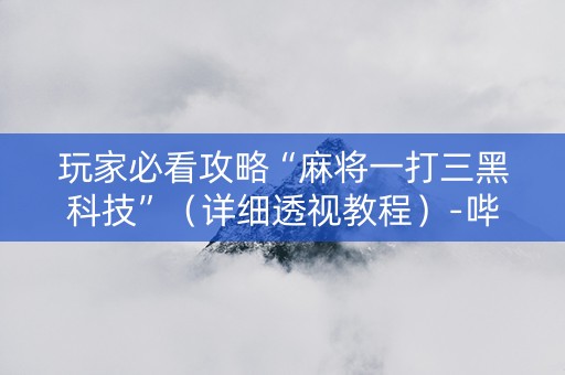 玩家必看攻略“麻将一打三黑科技”（详细透视教程）-哔哩哔哩