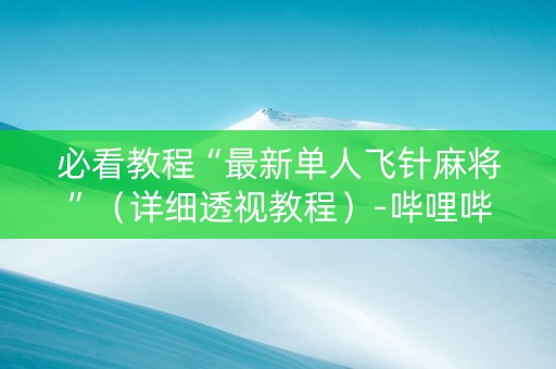必看教程“最新单人飞针麻将”（详细透视教程）-哔哩哔哩