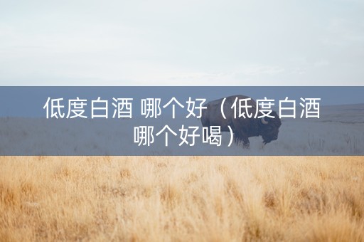 低度白酒 哪个好（低度白酒哪个好喝）