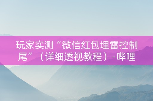 玩家实测“微信红包埋雷控制尾”（详细透视教程）-哔哩哔哩
