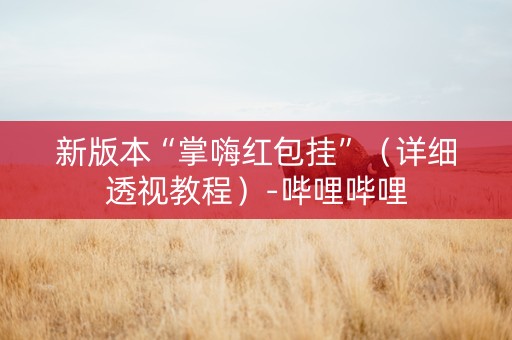 新版本“掌嗨红包挂”（详细透视教程）-哔哩哔哩