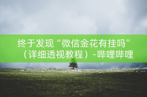 终于发现“微信金花有挂吗”（详细透视教程）-哔哩哔哩
