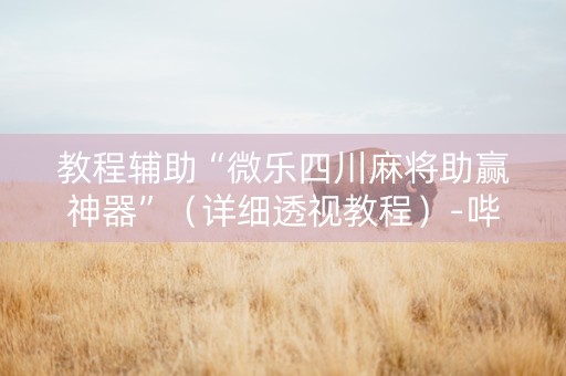教程辅助“微乐四川麻将助赢神器”（详细透视教程）-哔哩哔哩