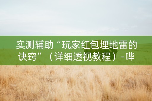 实测辅助“玩家红包埋地雷的诀窍”（详细透视教程）-哔哩哔哩