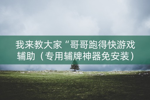 我来教大家“哥哥跑得快游戏辅助（专用辅牌神器免安装）