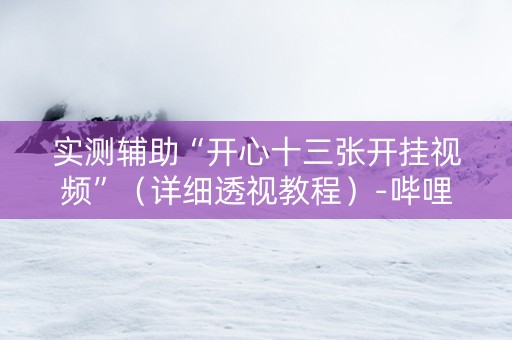 实测辅助“开心十三张开挂视频”（详细透视教程）-哔哩哔哩