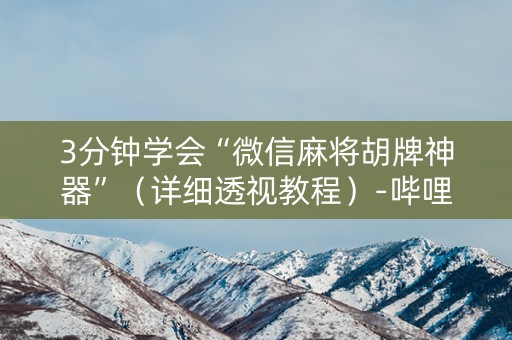 3分钟学会“微信麻将胡牌神器”（详细透视教程）-哔哩哔哩
