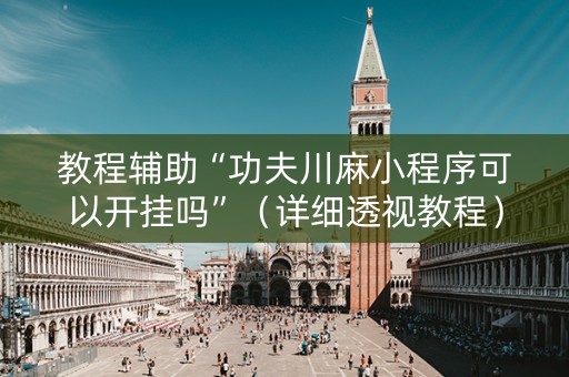 教程辅助“功夫川麻小程序可以开挂吗”（详细透视教程）-哔哩哔哩