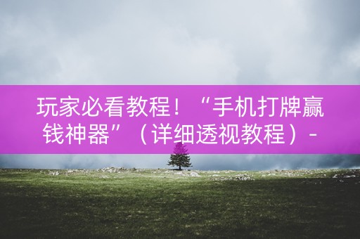 玩家必看教程！“手机打牌赢钱神器”（详细透视教程）-哔哩哔哩