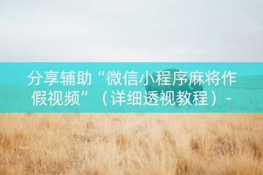 分享辅助“微信小程序麻将作假视频”（详细透视教程）-哔哩哔哩