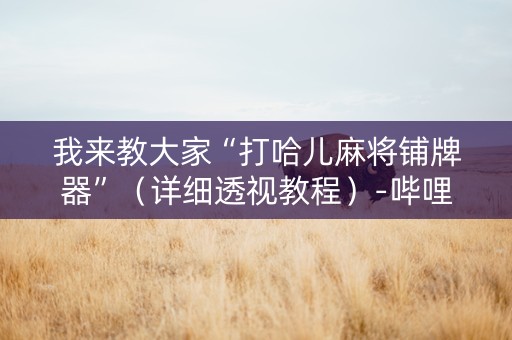 我来教大家“打哈儿麻将铺牌器”（详细透视教程）-哔哩哔哩