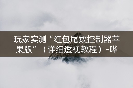 玩家实测“红包尾数控制器苹果版”（详细透视教程）-哔哩哔哩
