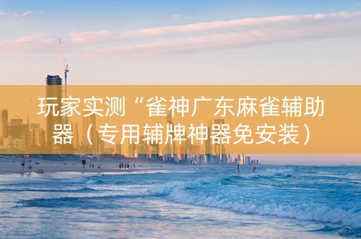 玩家实测“雀神广东麻雀辅助器（专用辅牌神器免安装）