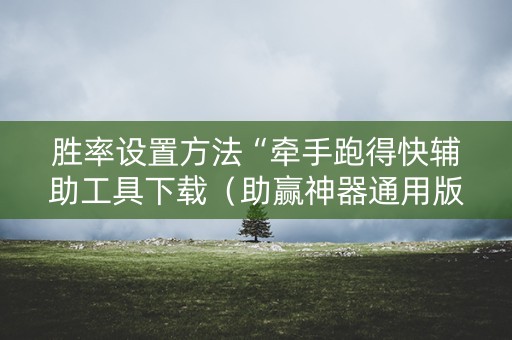 胜率设置方法“牵手跑得快辅助工具下载（助赢神器通用版）
