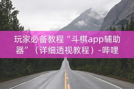 玩家必备教程“斗棋app辅助器”（详细透视教程）-哔哩哔哩