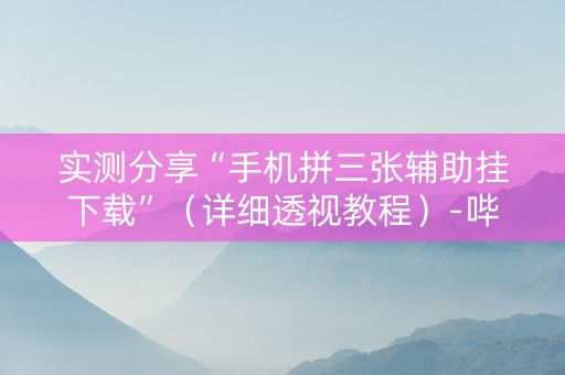实测分享“手机拼三张辅助挂下载”（详细透视教程）-哔哩哔哩