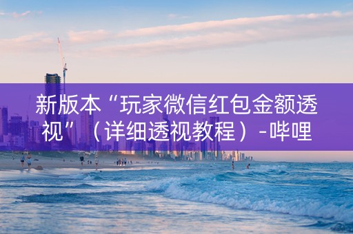 新版本“玩家微信红包金额透视”（详细透视教程）-哔哩哔哩