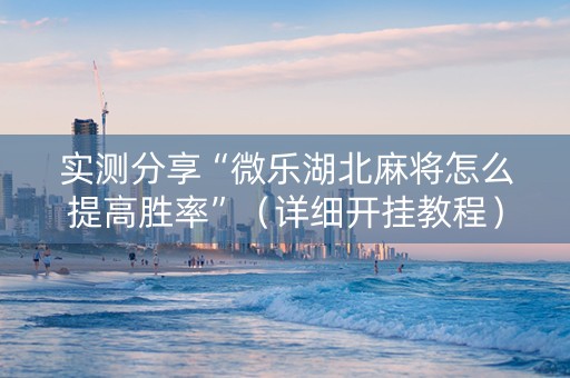 实测分享“微乐湖北麻将怎么提高胜率”（详细开挂教程）-哔哩哔哩