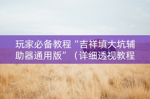 玩家必备教程“吉祥填大坑辅助器通用版”（详细透视教程）-哔哩哔哩