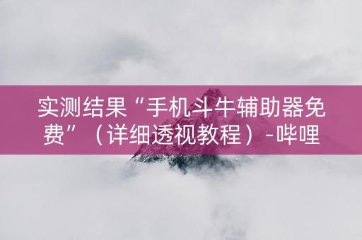 实测结果“手机斗牛辅助器免费”（详细透视教程）-哔哩哔哩