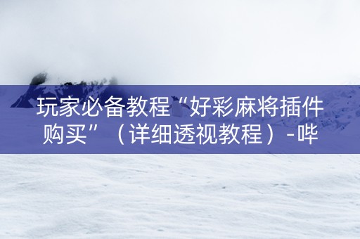 玩家必备教程“好彩麻将插件购买”（详细透视教程）-哔哩哔哩