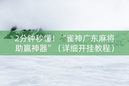 2分钟秒懂！“雀神广东麻将助赢神器”（详细开挂教程）-哔哩哔哩