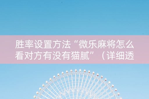 胜率设置方法“微乐麻将怎么看对方有没有猫腻”（详细透视教程）-哔哩哔哩