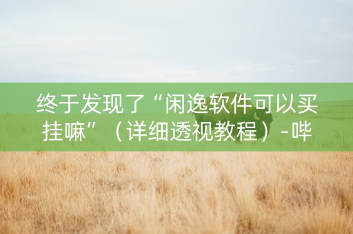 终于发现了“闲逸软件可以买挂嘛”（详细透视教程）-哔哩哔哩
