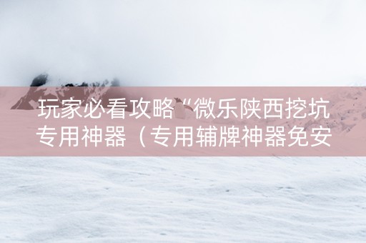玩家必看攻略“微乐陕西挖坑专用神器（专用辅牌神器免安装）
